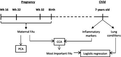 Maternal fatty acid status during pregnancy versus offspring inflammatory markers: a canonical correlation analysis of the MEFAB cohort